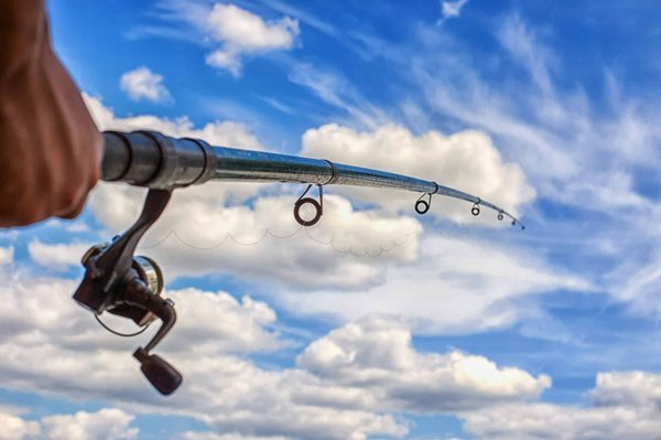 Comment reconnaitre la meilleure canne casting pour le brochet ?